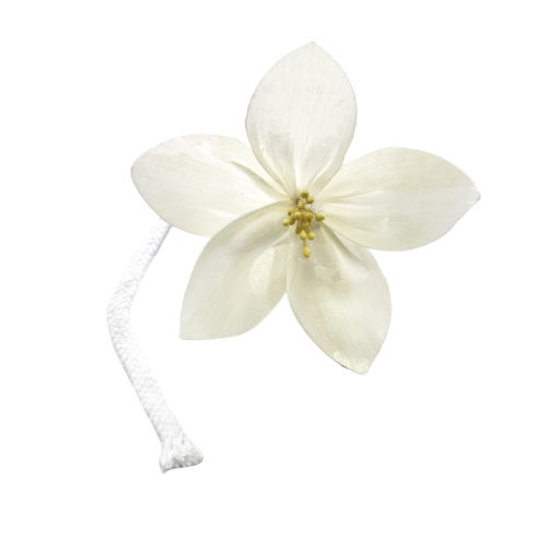 Eco Friendly Home Sense 1cm Sola Wood Flowers 0