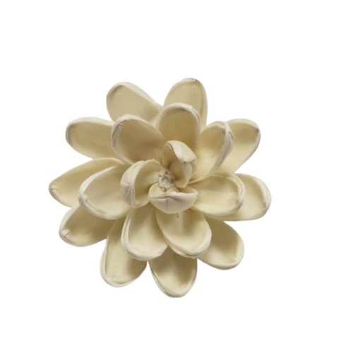 Tapioca Plants Material Air Fresher 1cm Reed Diffuser Flower 0