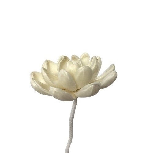 Tapioca Plants Material Air Fresher 1cm Reed Diffuser Flower 1